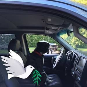 Meet your Posher, Sheryl